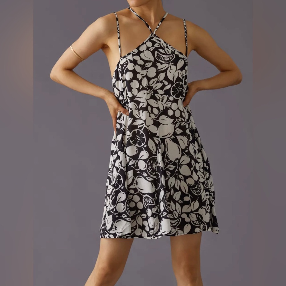 NWT By Anthropologie Sheer Mini Dress